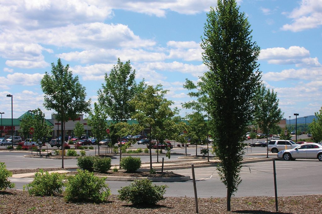 Benner Pike Shops Keller Engineers